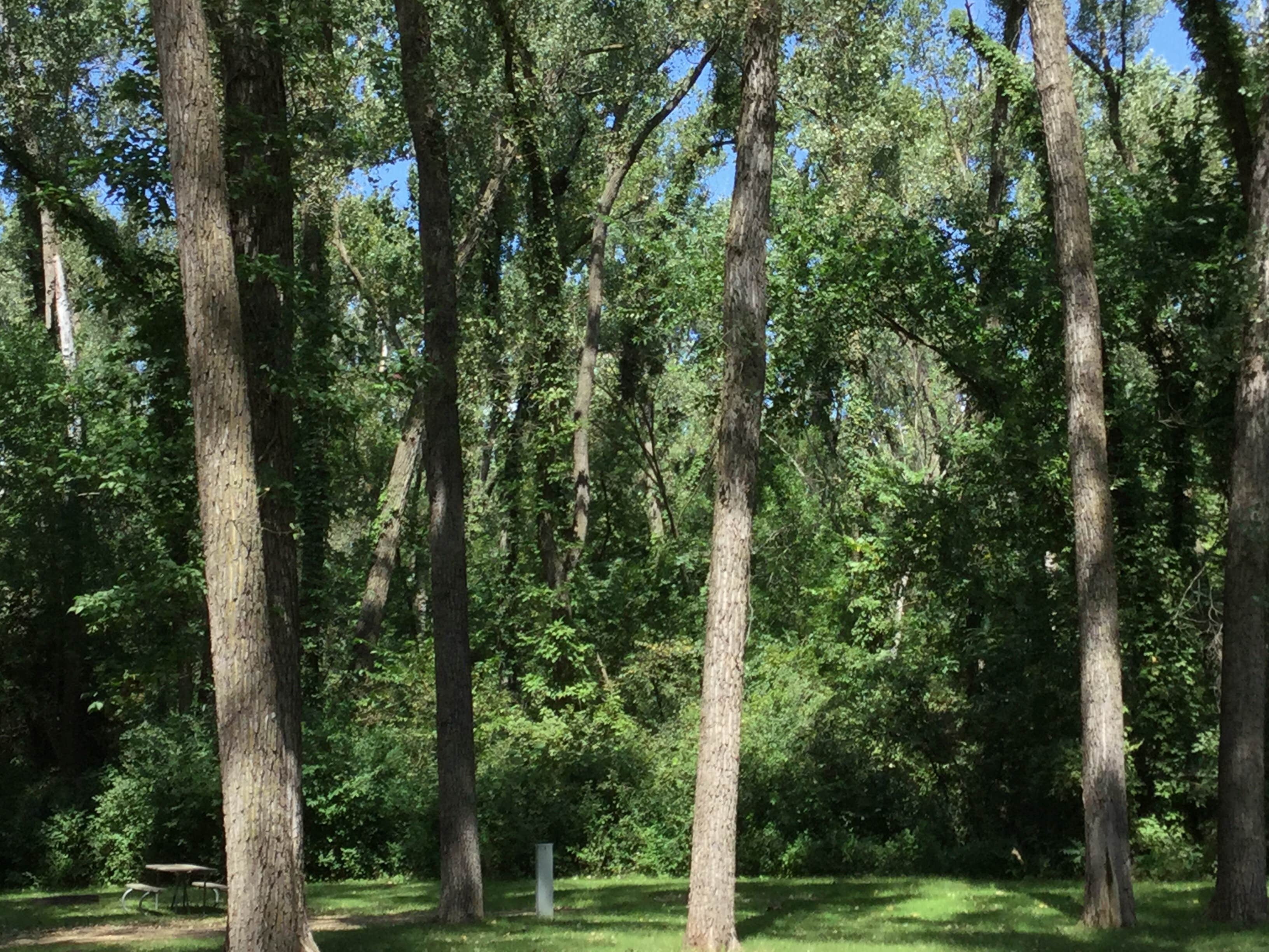 Camper-submitted photo at Clay County Park — Clay County near Vermillion, SD