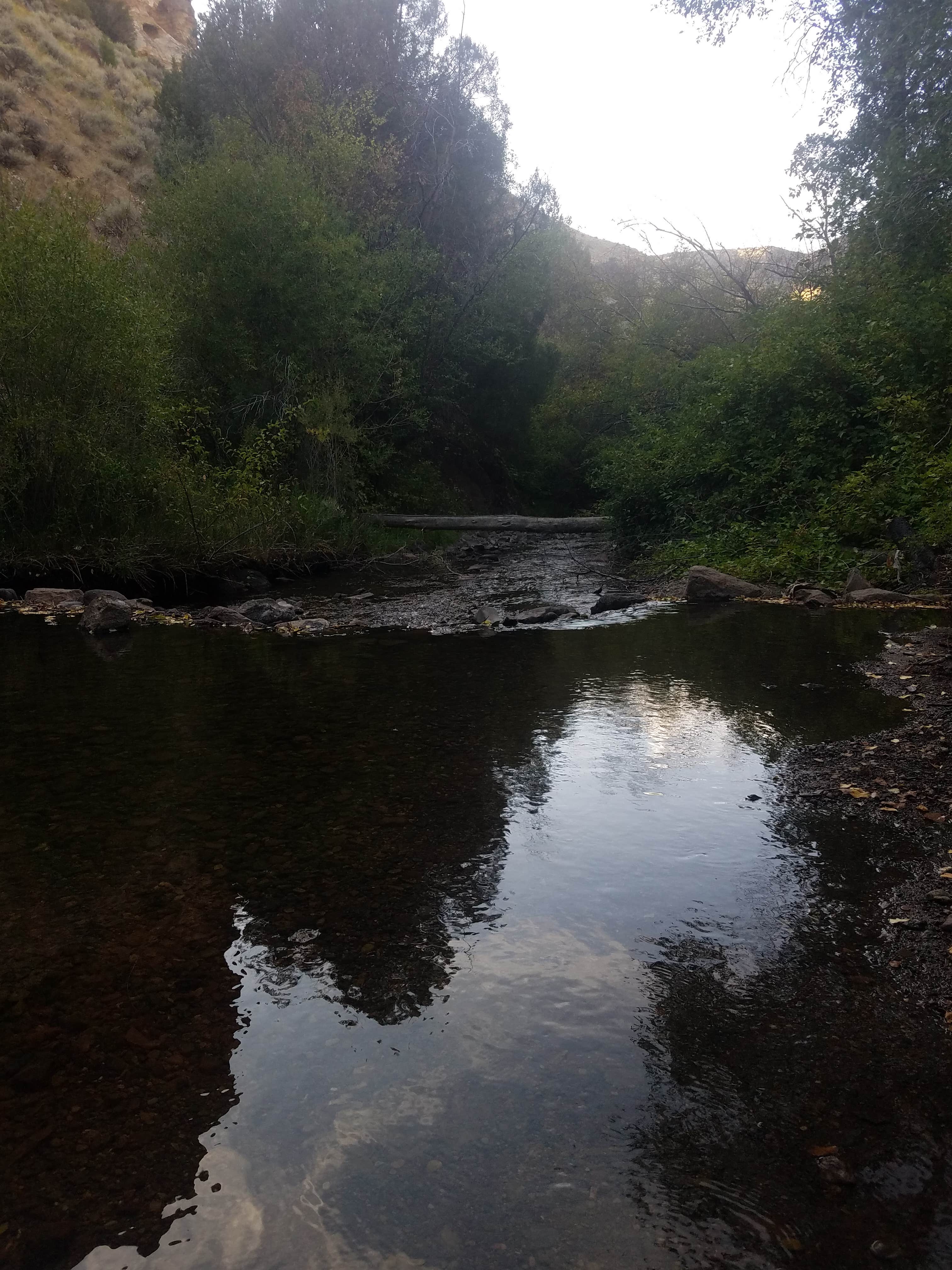 Camper submitted image from Steer Basin Campground - 3