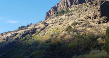 Steer Basin