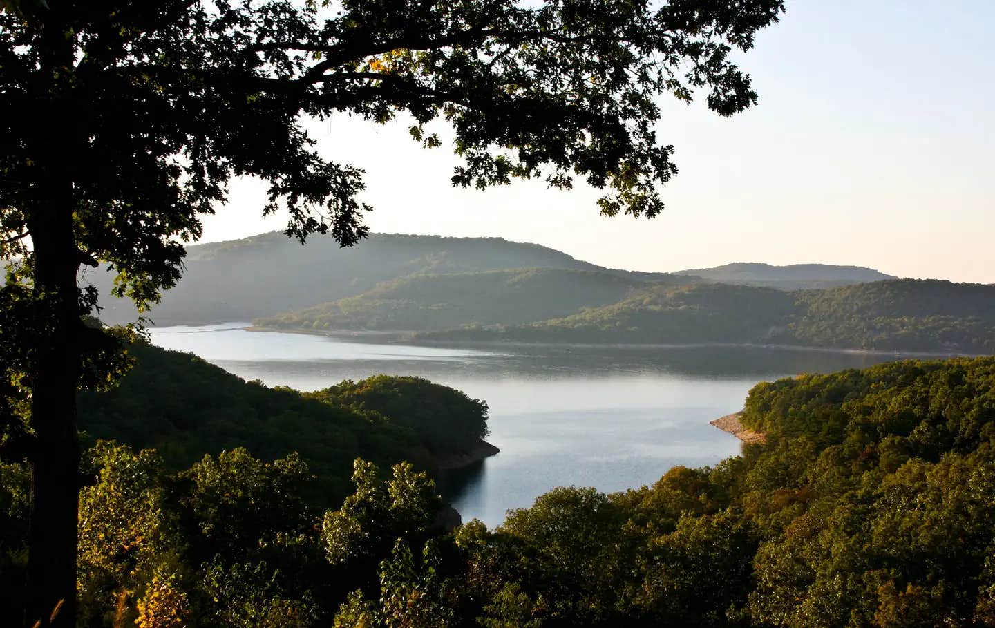 Camper submitted image from Rocky Branch Campground - 1