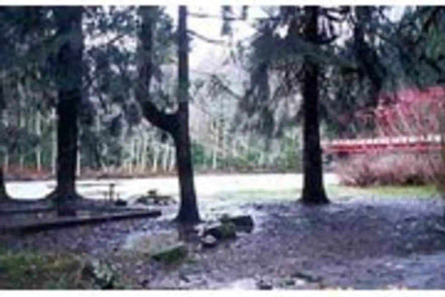 Camper submitted image from Red Bridge Recreation Area - Allegheny National Forest - 1