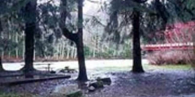 Camper submitted image from Red Bridge Recreation Area - Allegheny National Forest