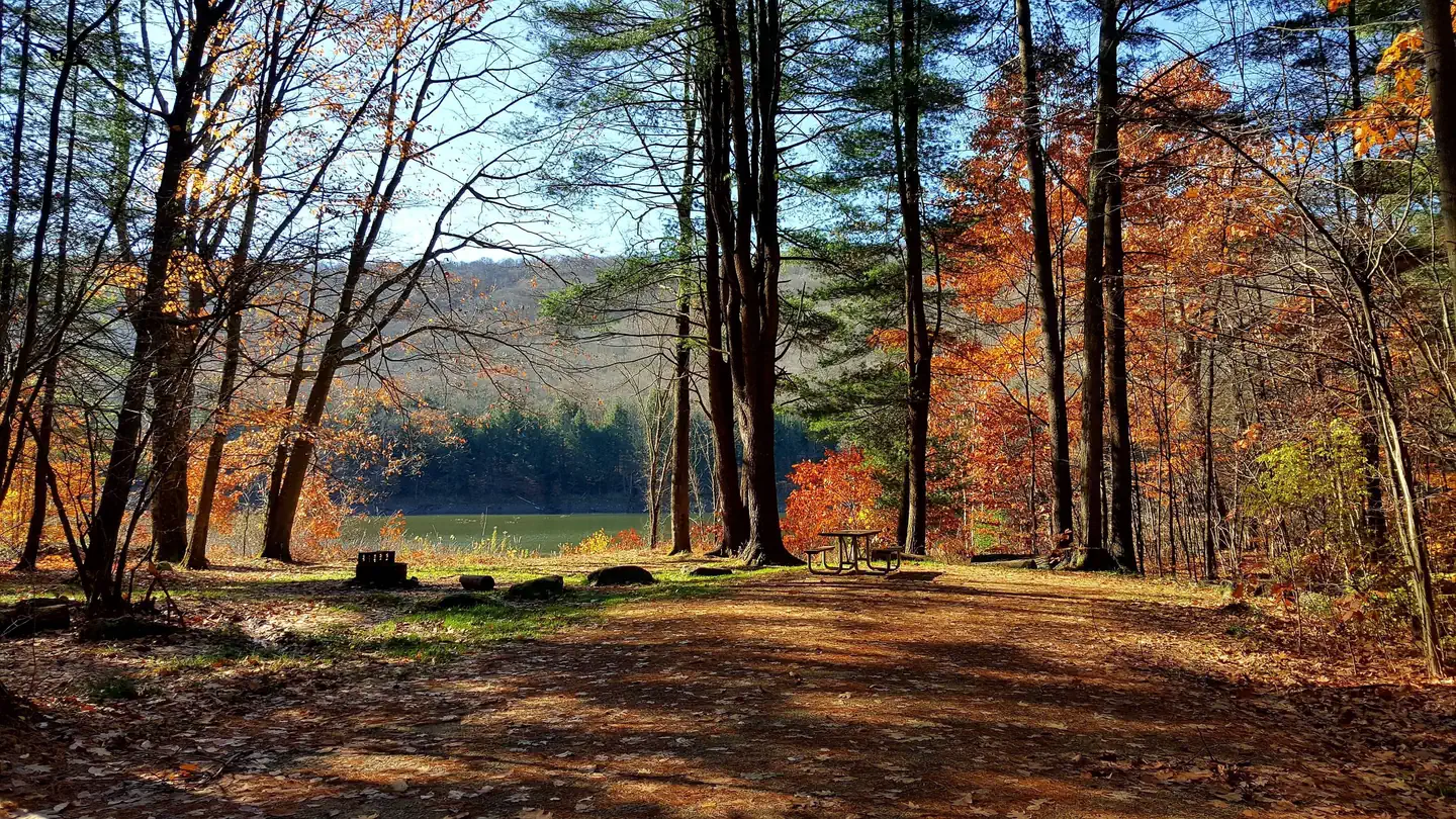 Camper-submitted photo at Red Bridge Recreation Area - Allegheny National Forest near Bradford, PA
