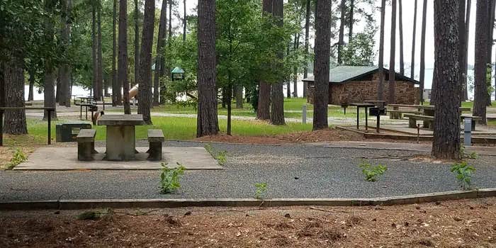 Camper submitted image from Piney Point