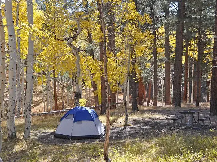 Camper-submitted photo at North Rim Campground (Closed for Remainder of 2025)— Grand Canyon National Park near Supai, AZ