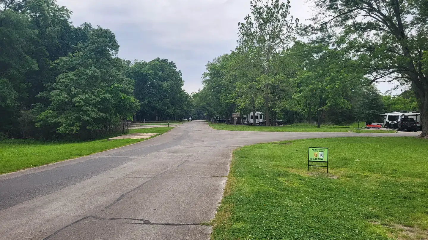 Camper-submitted photo at Coon Creek (IL) near Charleston, IL