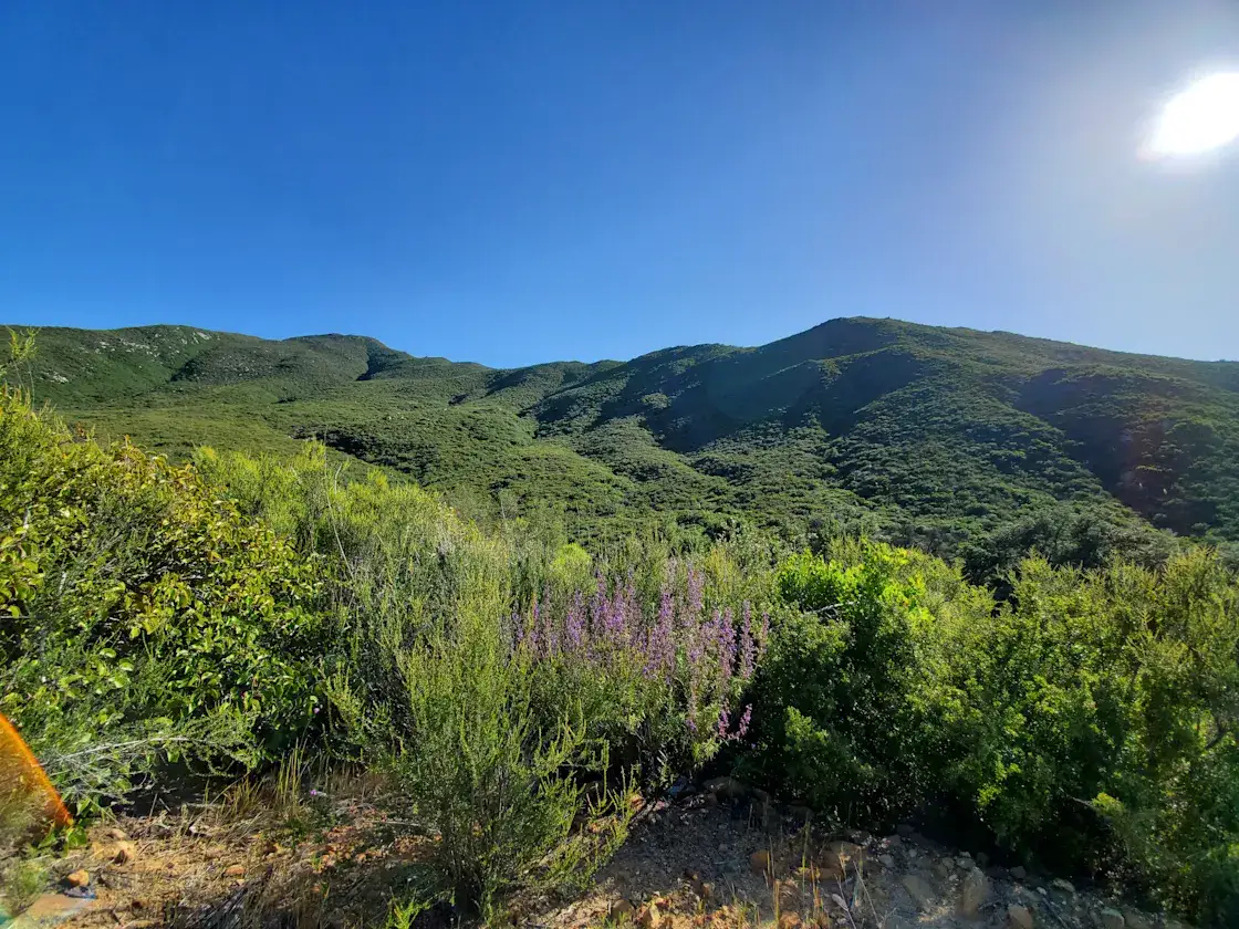 Camping near Hidden Haven Farms: King Creep Campground, Descanso, California