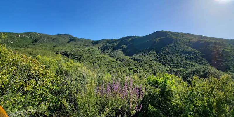 Camper submitted image from King Creep Campground