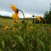 Review photo of Point Supreme Campground — Cedar Breaks National Monument by Michael K., June 9, 2016