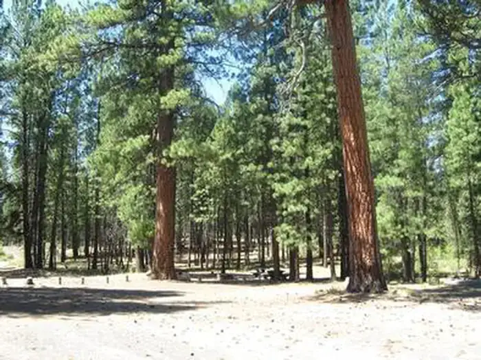 Camper-submitted photo at Big River Campground near Sunriver, OR