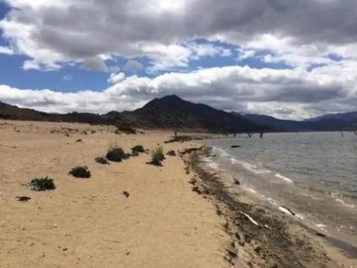 Camper submitted image from Camp 9 - 1