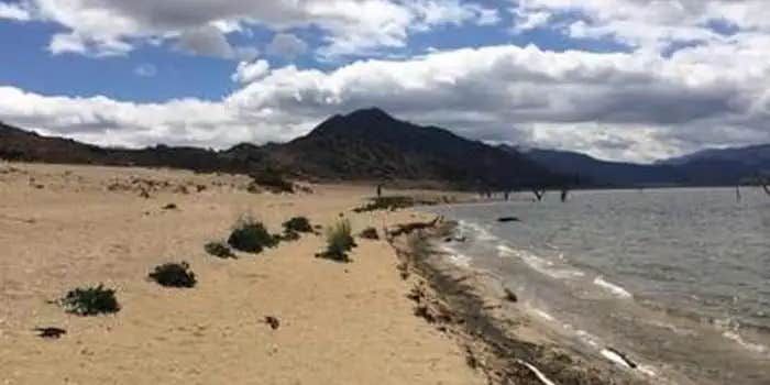 Camper submitted image from Camp 9