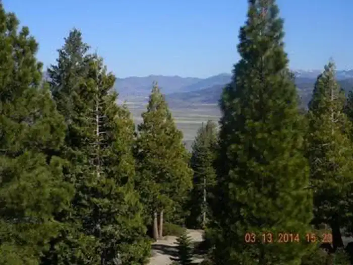 Camping near Clio's Rivers Edge RV Park: Calpine Lookout, Calpine, California