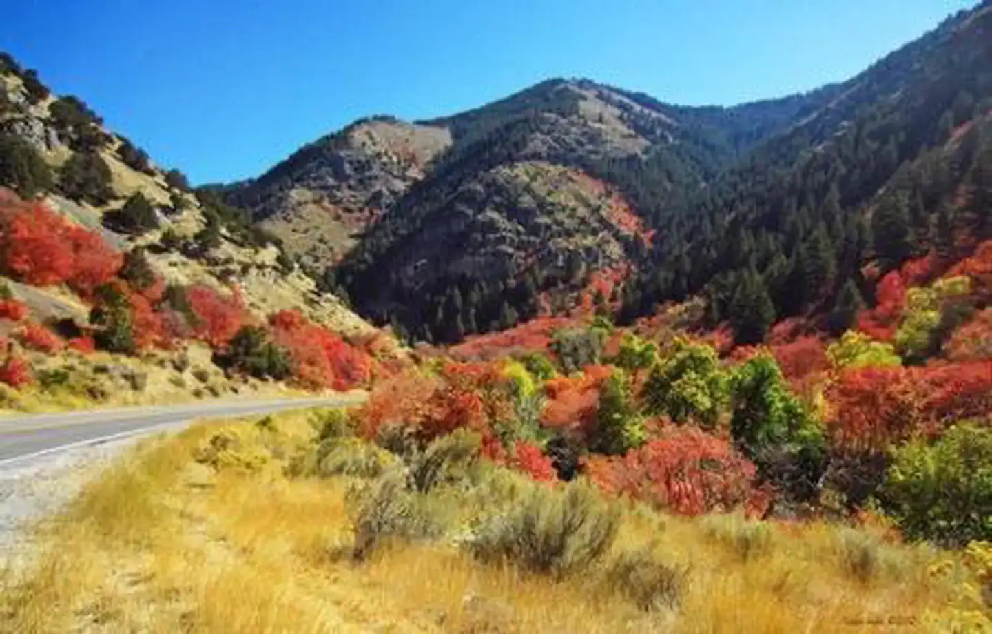 Camper-submitted photo at Blacksmith Fork Guard Station near Mantua, UT