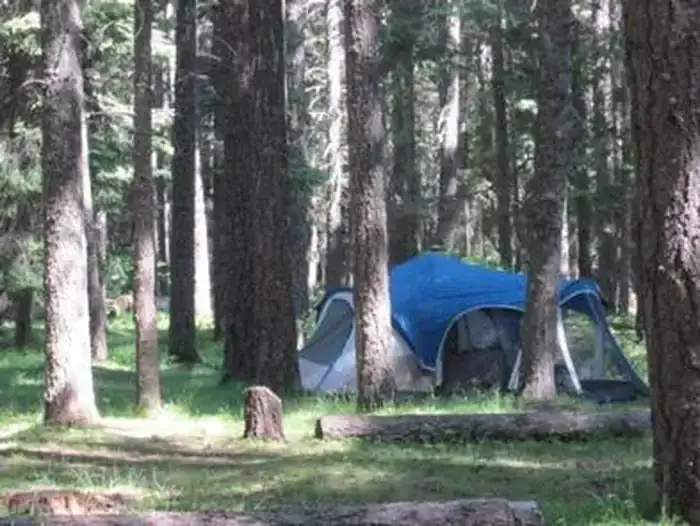 Camper-submitted photo at Indian Creek (WA) near White Pass, WA