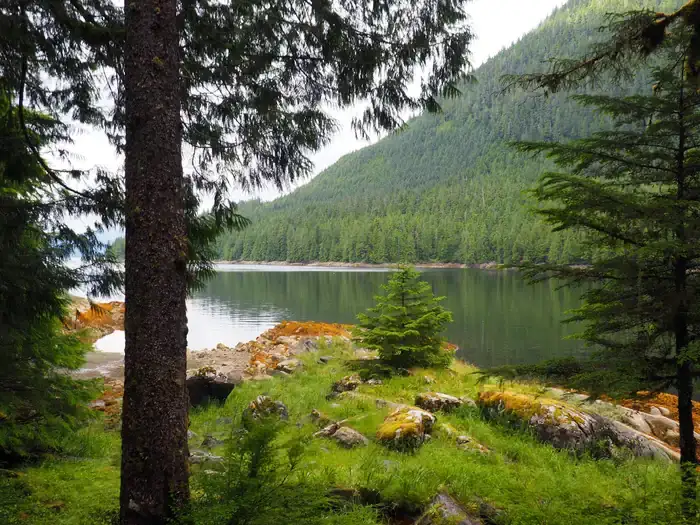 Camping near Anchor Pass Cabin: Frosty Bay Cabin, Wrangell, Alaska