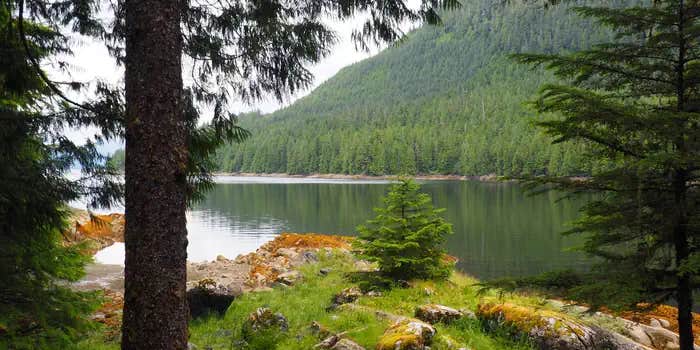 Camper submitted image from Frosty Bay Cabin