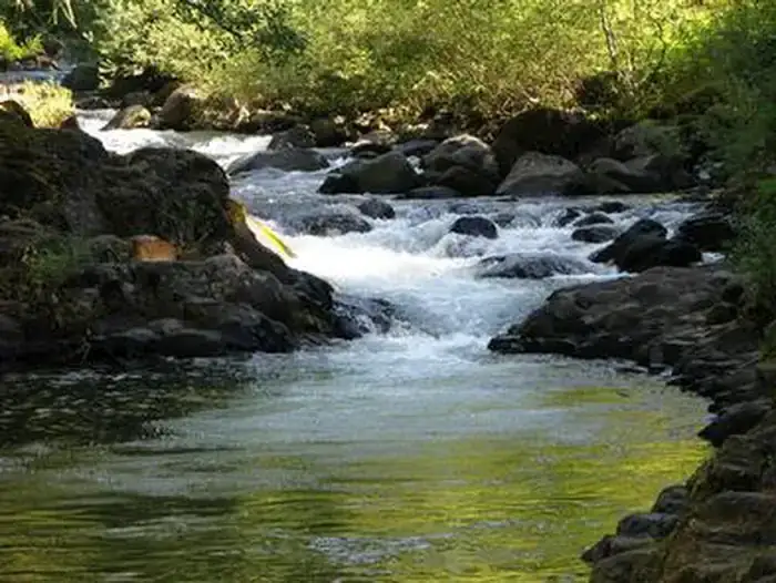 Camping near Indian Henry - TEMPORARILY CLOSED DUE TO FIRE DAMAGE: Roaring River Campground, Welches, Oregon