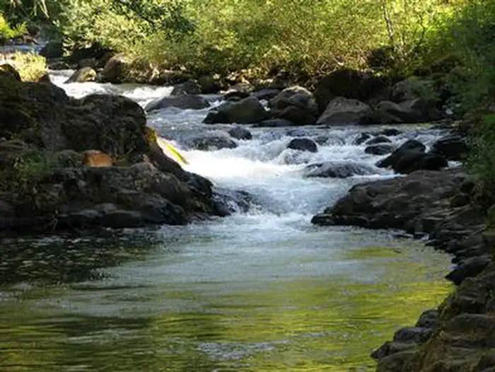 Camper submitted image from Roaring River Campground - 1