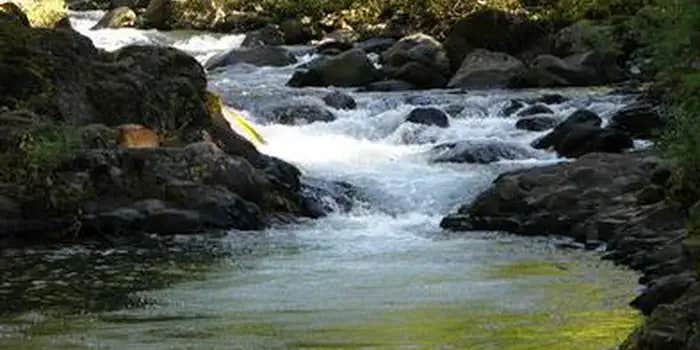 Camper submitted image from Roaring River Campground