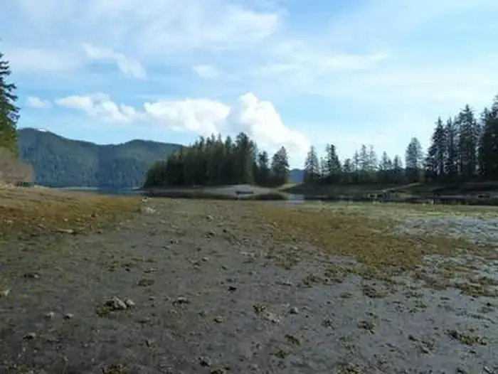 Camper-submitted photo at Pybus Bay Cabin near Tongass National Forest