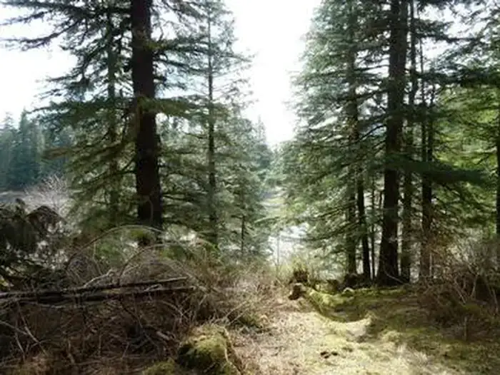 Camper-submitted photo at Pybus Bay Cabin near Tongass National Forest