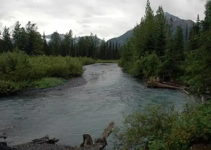 Camper-submitted photo at Granite Creek near Hope, AK