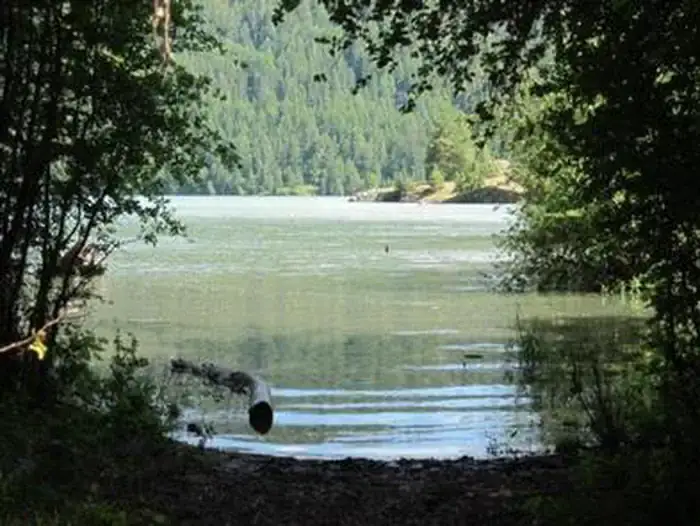 Camper-submitted photo at Indian Creek (WA) near White Pass, WA