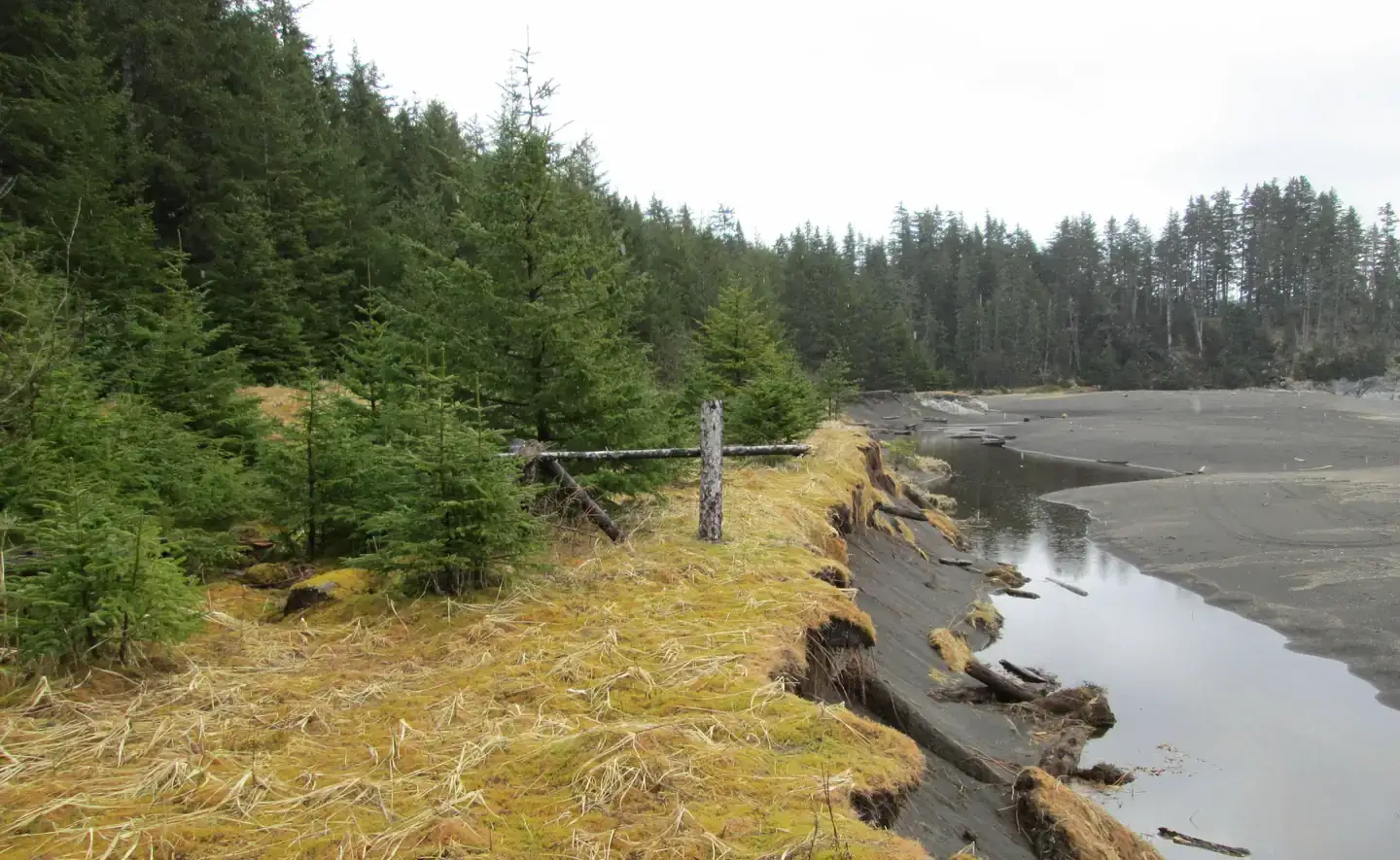 Camper-submitted photo at North Beach Cabin near Sitka, AK