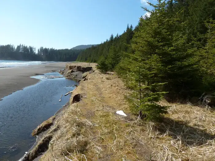 Camper-submitted photo at North Beach Cabin near Sitka, AK
