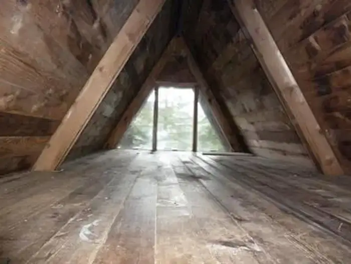 Camper-submitted photo at Pybus Bay Cabin near Tongass National Forest