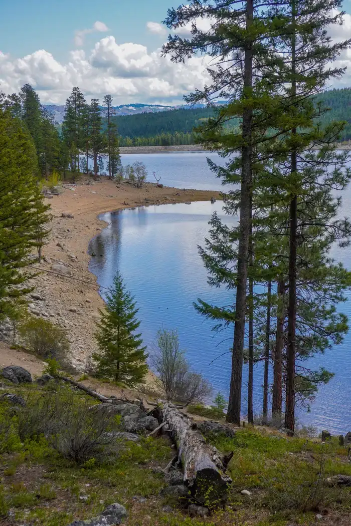 Camper-submitted photo at Woods Cabin near Pinesdale, MT