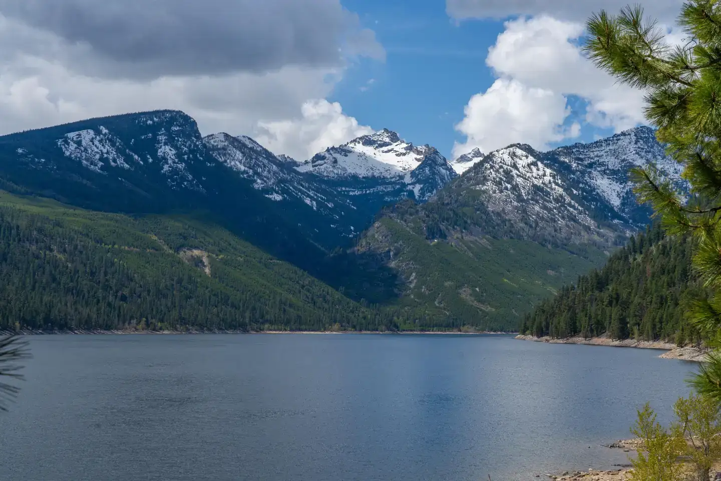 Camper-submitted photo at Woods Cabin near Pinesdale, MT