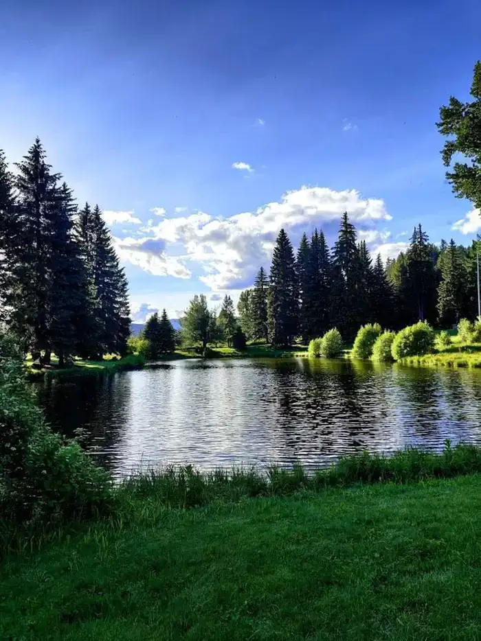 Camper-submitted photo at Savenac West Cottage near De Borgia, MT