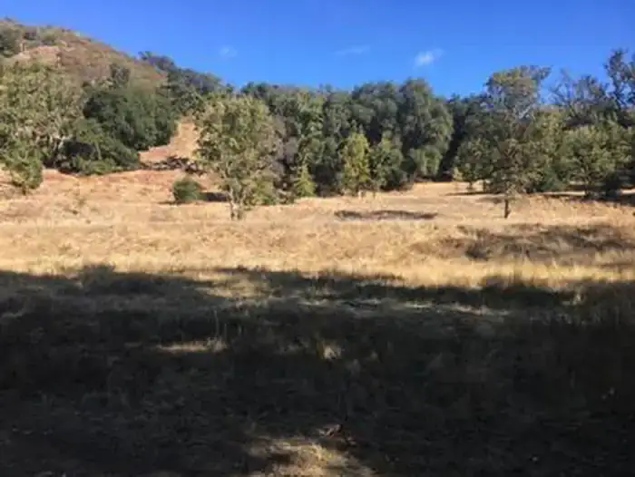 Camper-submitted photo at Ponderosa Campground near Fort Hunter Liggett, CA