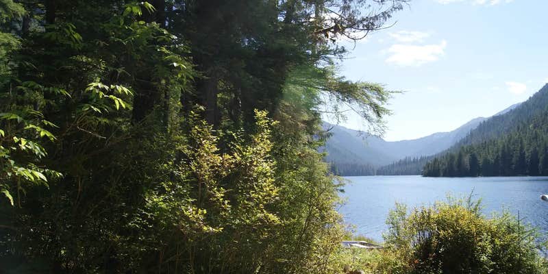 Camper submitted image from Winstanley Lake Cabin