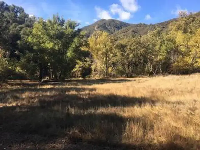Camper-submitted photo at Ponderosa Campground near Fort Hunter Liggett, CA