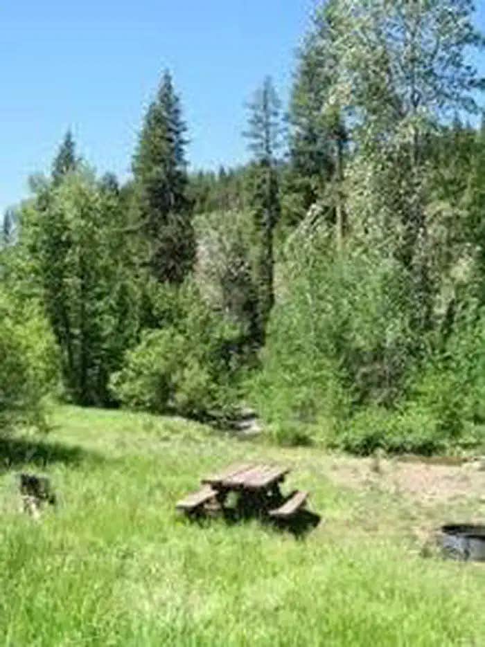 Camper submitted image from Cold Creek - 1