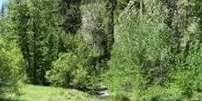 Camper submitted image from Cold Creek