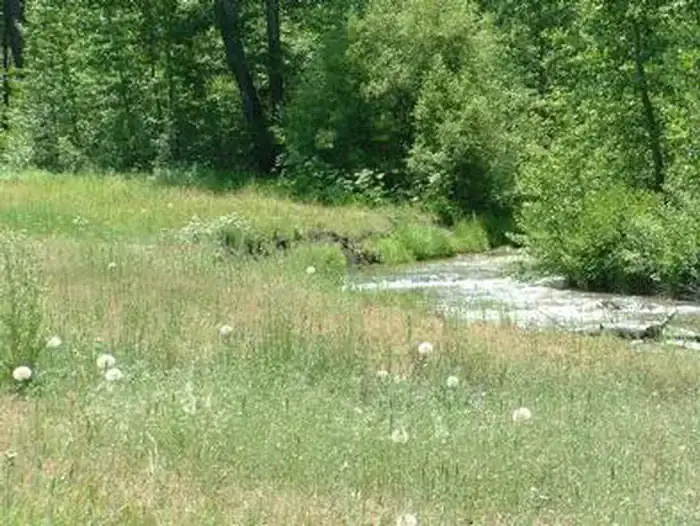 Camper-submitted photo at Cold Creek near Sierraville, CA