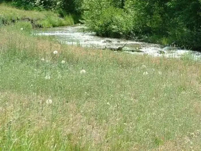 Camper-submitted photo at Cold Creek near Sierraville, CA