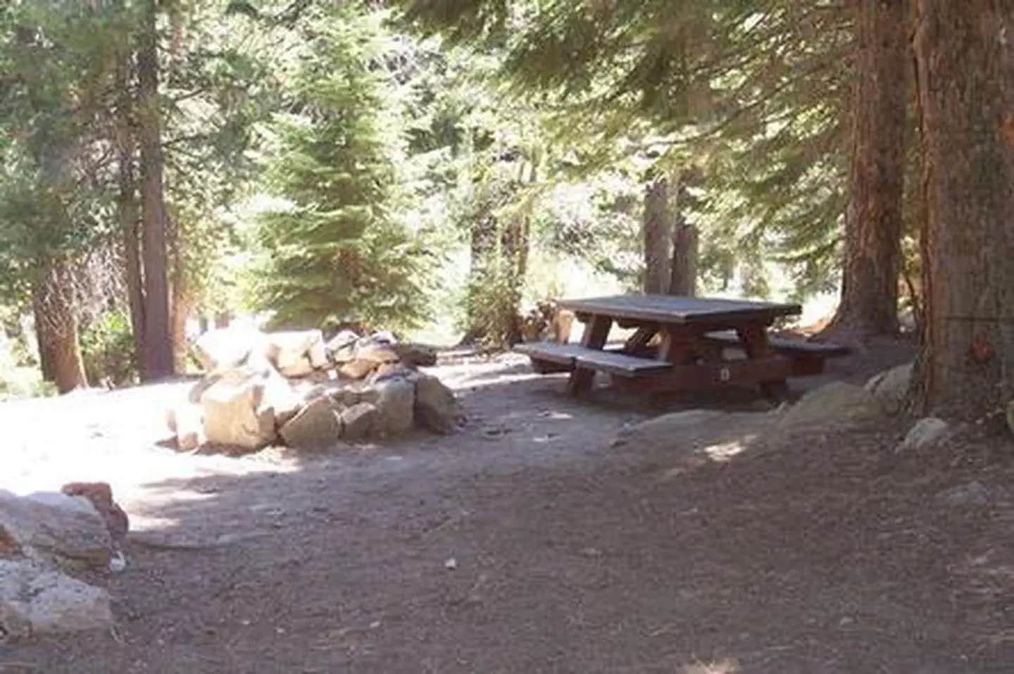 Camper submitted image from Redwood Meadow - 1
