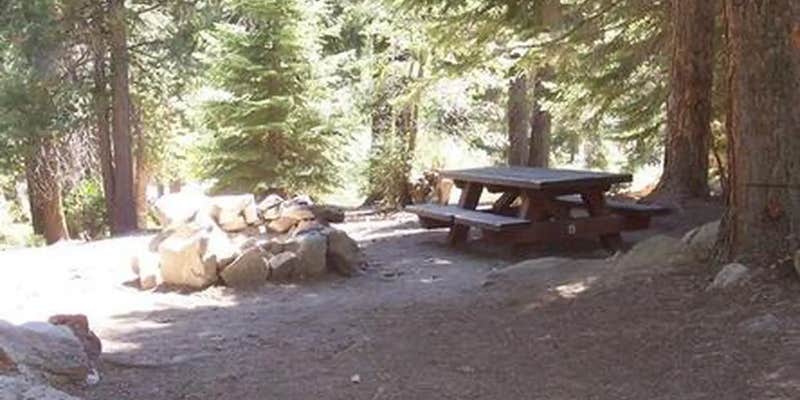 Camper submitted image from Redwood Meadow
