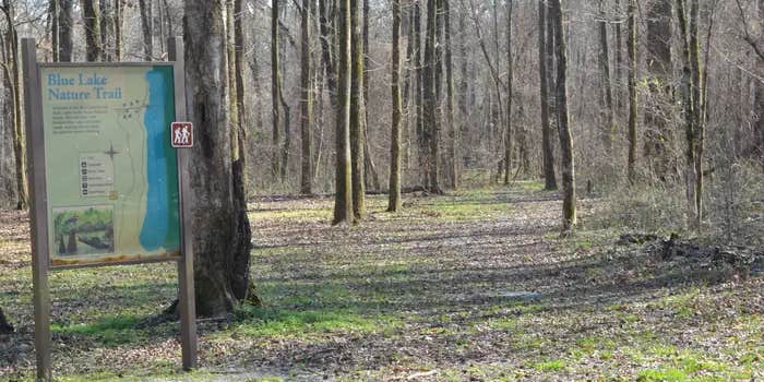 Camper submitted image from Delta National Forest - Camping