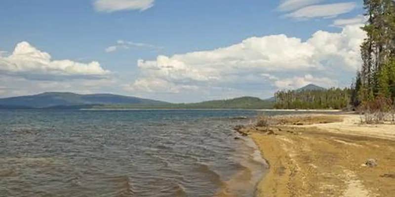 Camper submitted image from Contorta Flat Campground