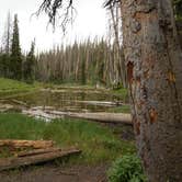 Review photo of Point Supreme Campground — Cedar Breaks National Monument by Michael K., June 9, 2016