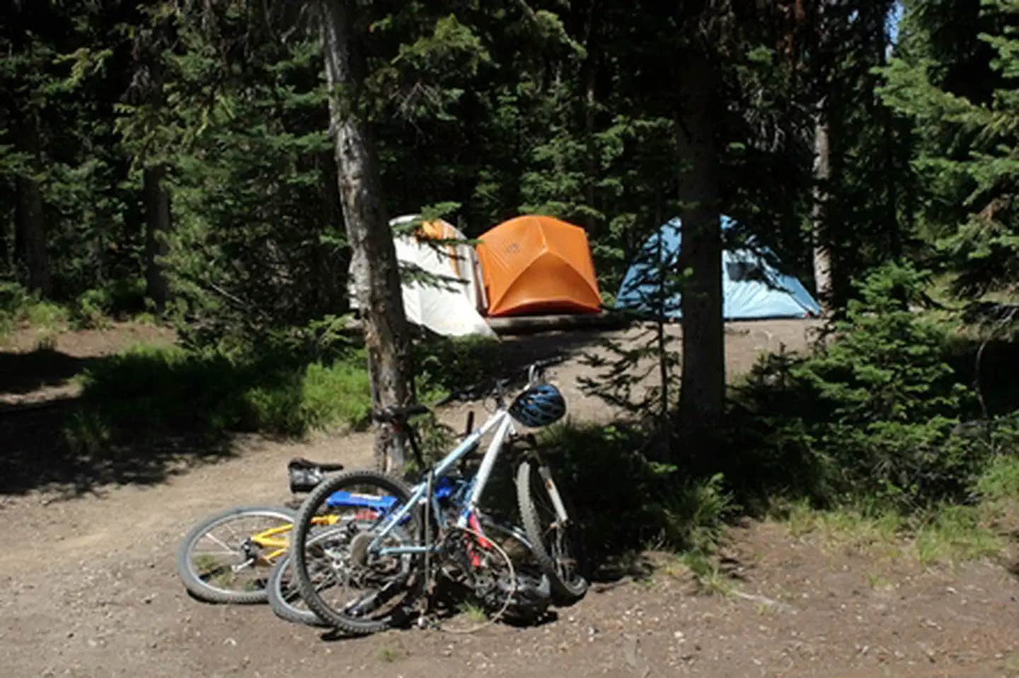 Camper submitted image from Lewis Lake — Yellowstone National Park - 1