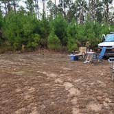 Review photo of FR50240 Dispersed by Fred S., November 26, 2025