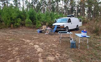 Fred S.'s photo at FR50240 Dispersed near Wickes, AR