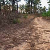 Review photo of FR50240 Dispersed by Fred S., November 26, 2025